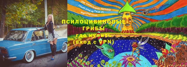 крисы Алзамай