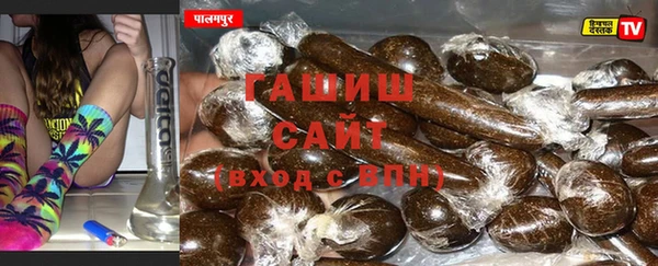 крисы Алзамай
