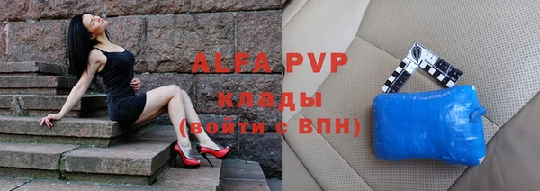мет Алексин