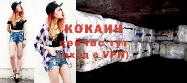 крисы Алзамай
