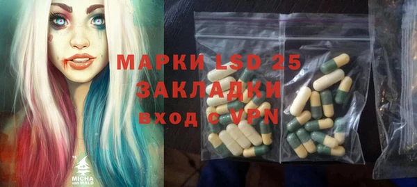 крисы Алзамай