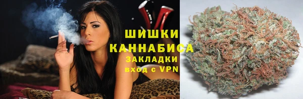 крисы Алзамай