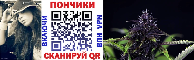 где купить наркоту  Протвино  Бошки марихуана MAZAR 